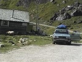 The goat farm we found at the bottom of the hairpin descent in Myrkdalen